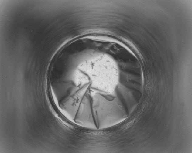 X0000082730999200702161902