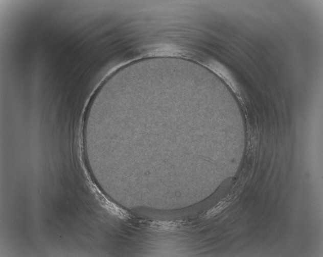 X0000082731000200702161902