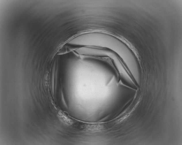 X0000082731001200702161902