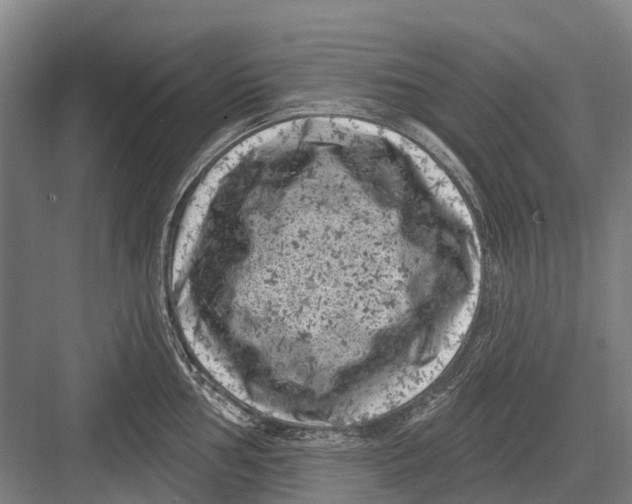 X0000082731002200702161902