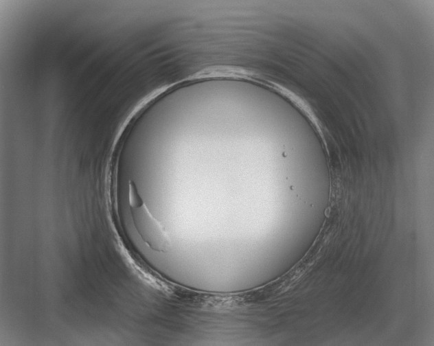 X0000082731003200702161902