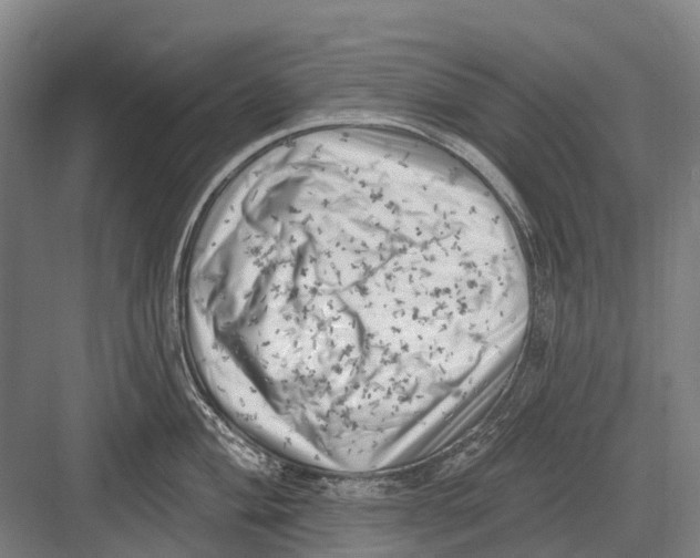 X0000082731004200702161902