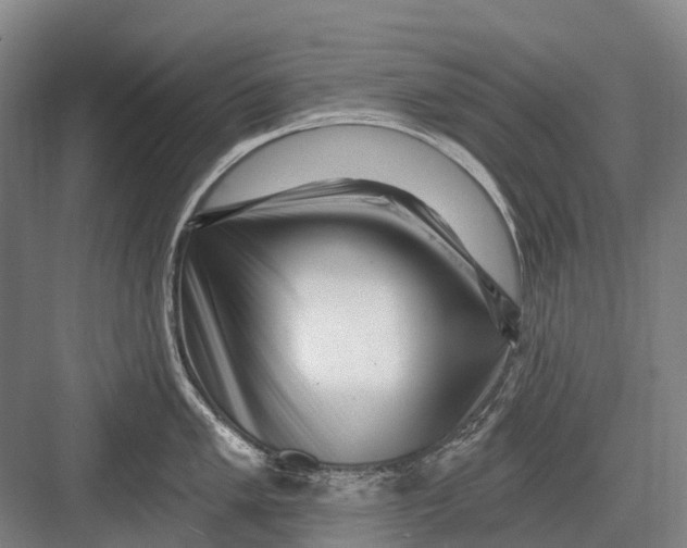 X0000082731005200702161902