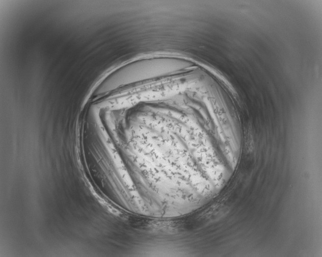 X0000082731006200702161902