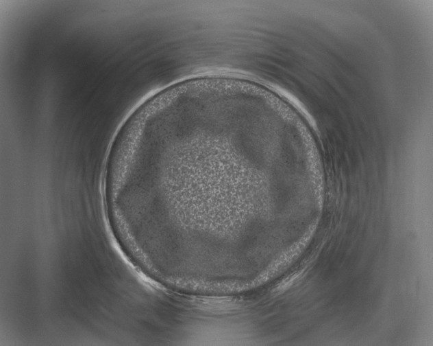 X0000082731007200702161902