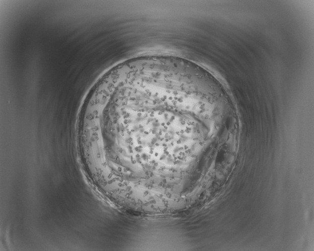 X0000082731008200702161902