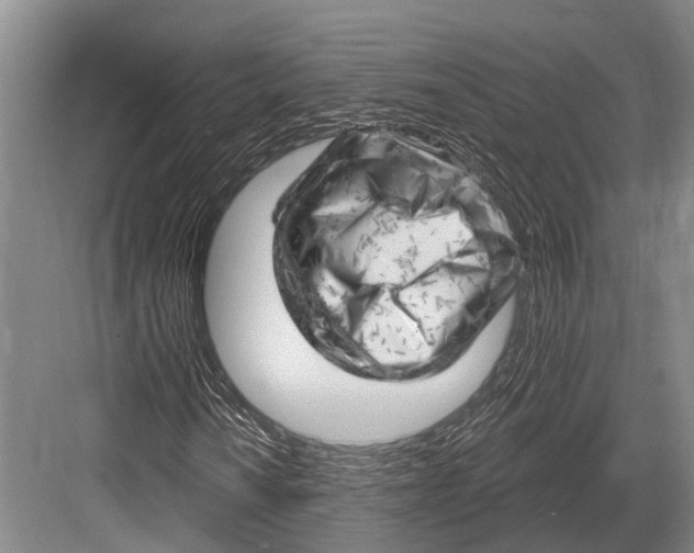 X0000082731010200702161901