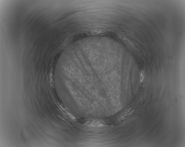 X0000082731011200702161901