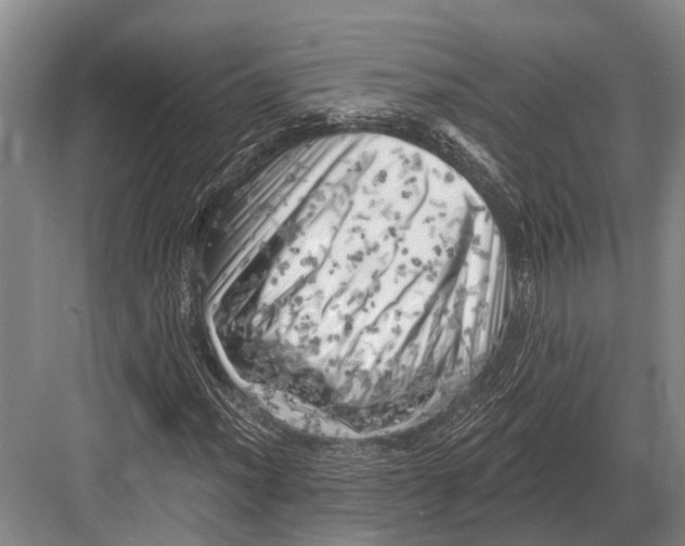 X0000082731012200702161901