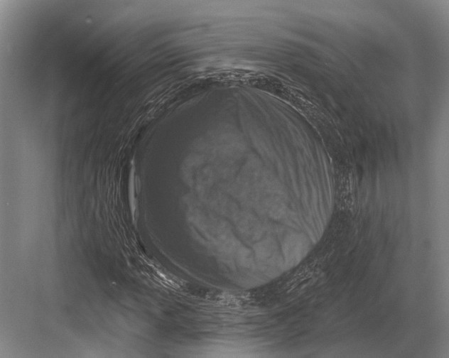 X0000082731013200702161901