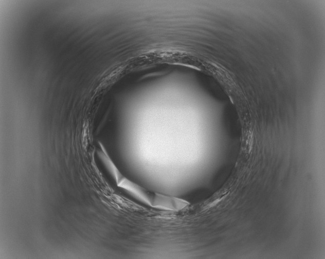 X0000082731014200702161901