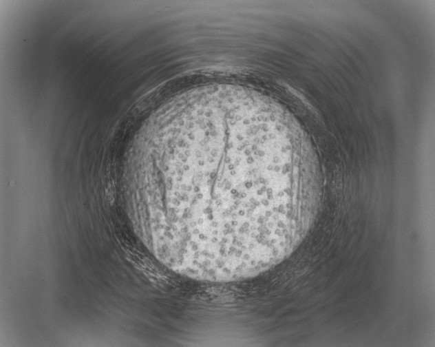 X0000082731015200702161901