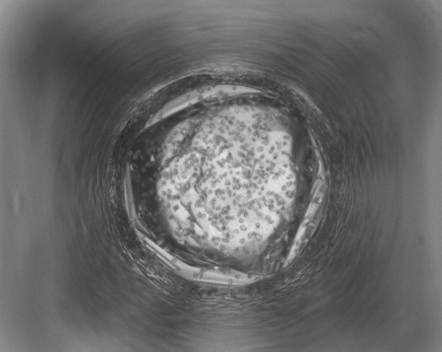 X0000082731016200702161901