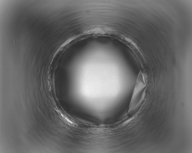 X0000082731018200702161901