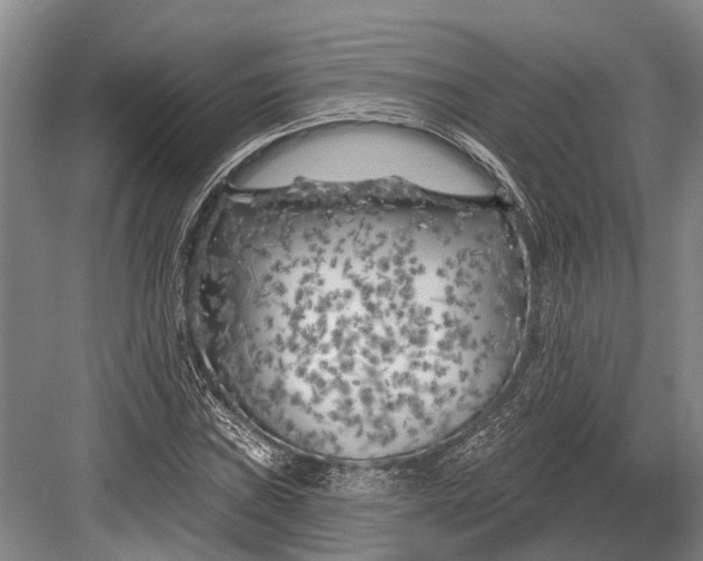 X0000082731019200702161901