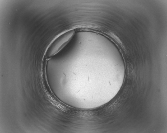 X0000082731020200702161901