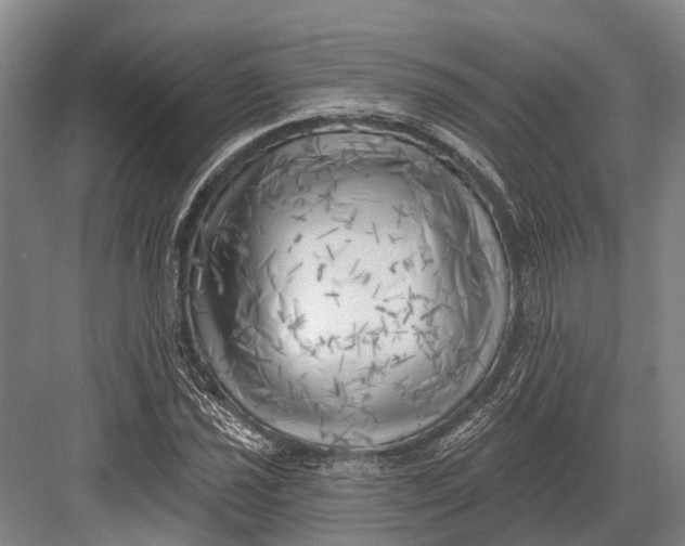 X0000082731021200702161901