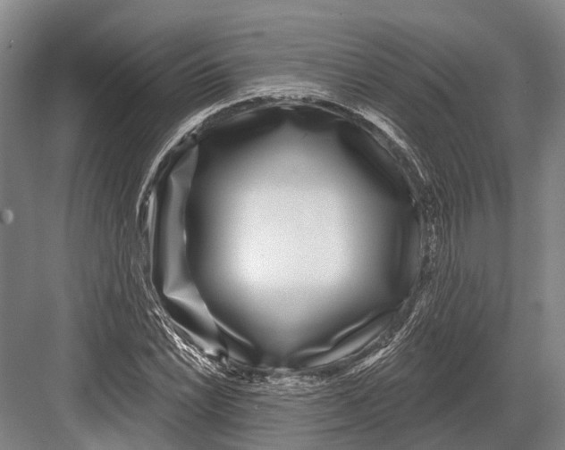 X0000082731022200702161902