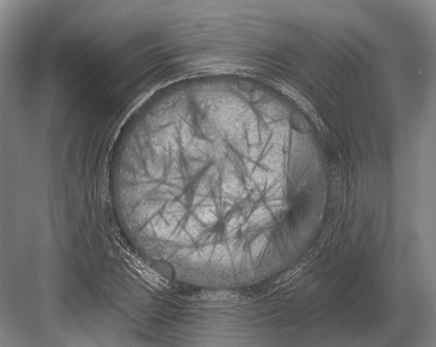 X0000082731023200702161902