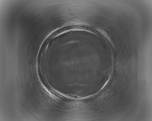 X0000082731024200702161902