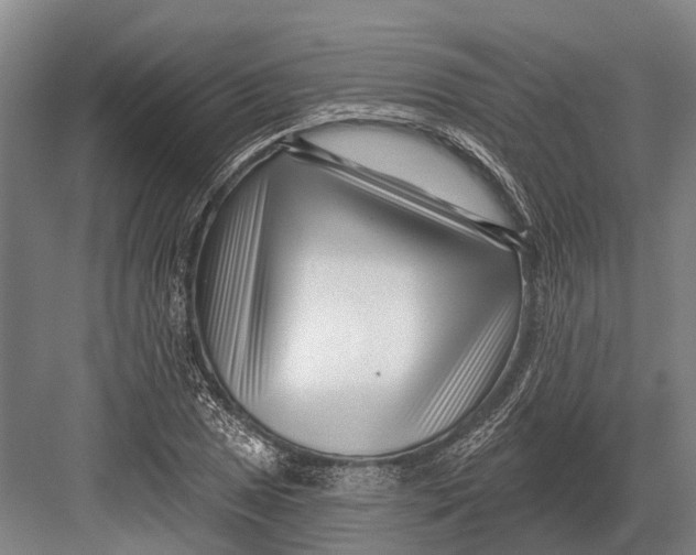 X0000082731025200702161902