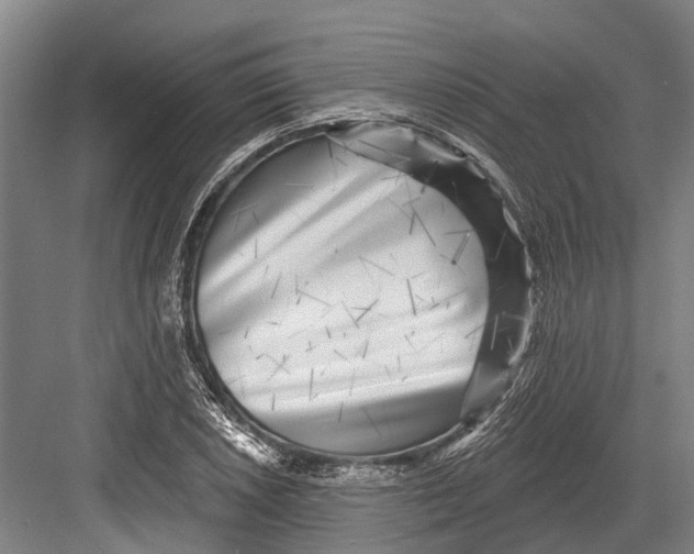 X0000082731026200702161902