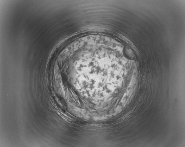 X0000082731027200702161902