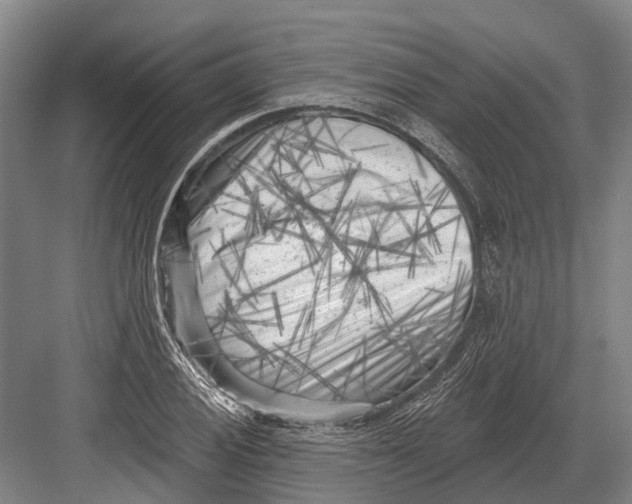 X0000082731028200702161902