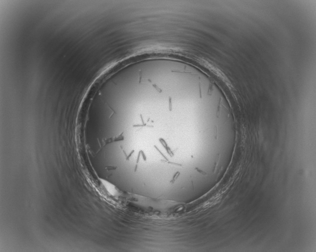 X0000082731029200702161902