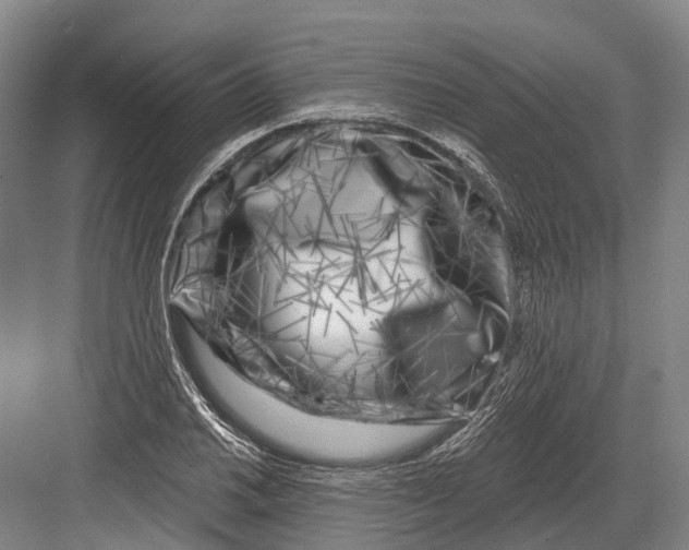 X0000082731030200702161902