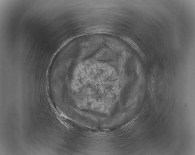 X0000082731031200702161902