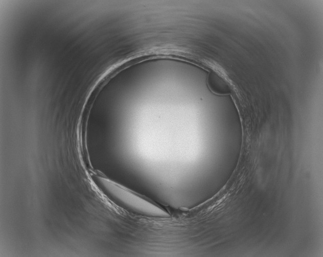 X0000082731032200702161902