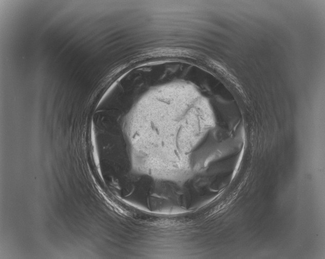 X0000082731033200702161902