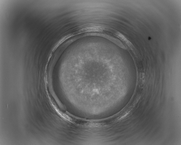 X0000082731034200702161902