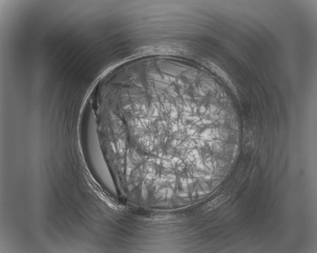 X0000082731035200702161902