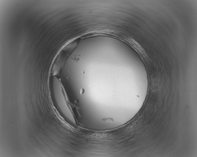 X0000082731036200702161902