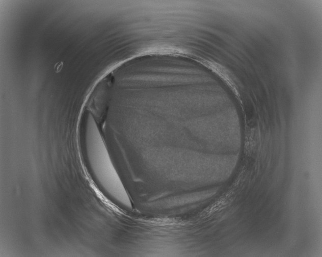 X0000082731037200702161902