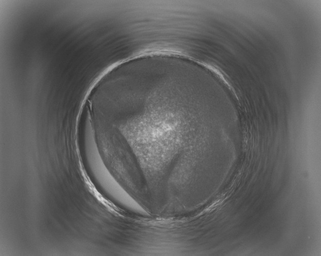 X0000082731038200702161902