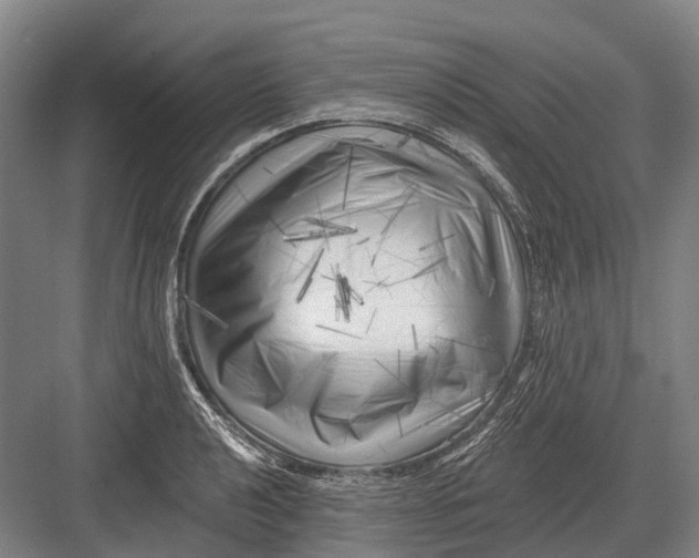 X0000082731040200702161902