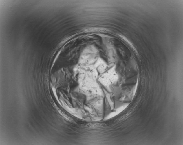 X0000082731041200702161902