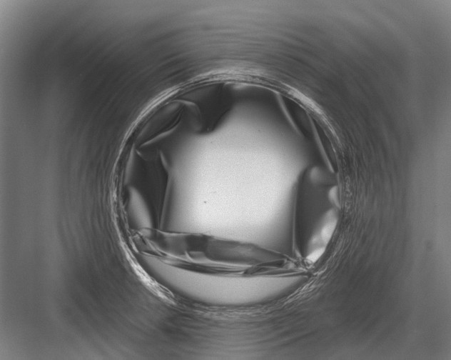 X0000082731042200702161902