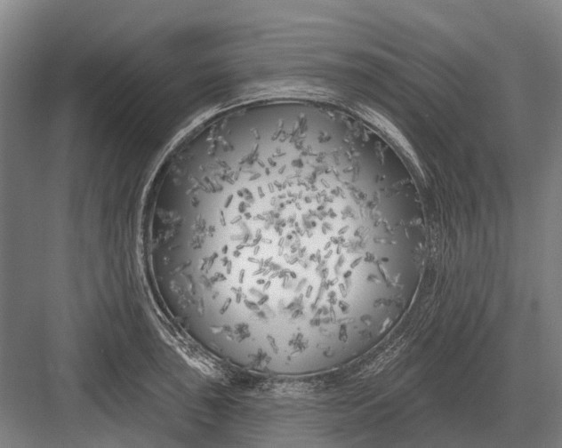 X0000082731043200702161902