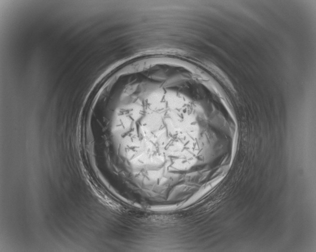 X0000082731044200702161902