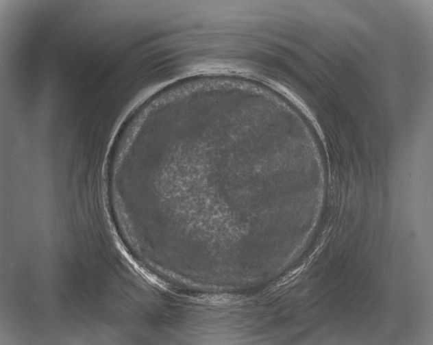 X0000082731045200702161902