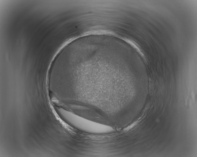 X0000082731046200702161902