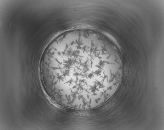 X0000082731047200702161902