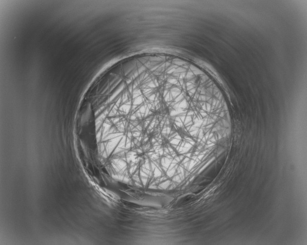 X0000082731048200702161902