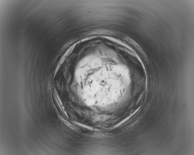 X0000082731049200702161902