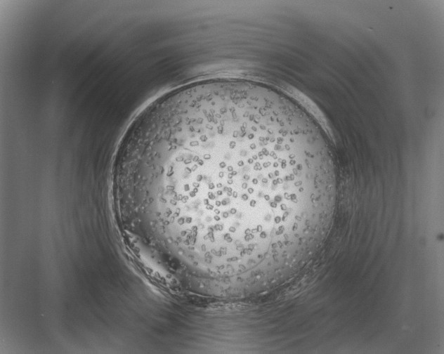 X0000082731051200702161902