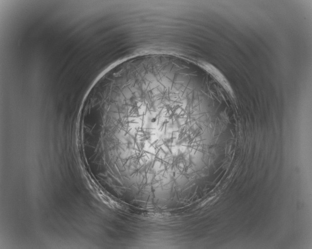 X0000082731052200702161902